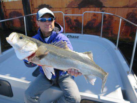 Chase（チェイス） 釣果