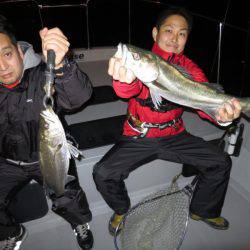 Chase（チェイス） 釣果