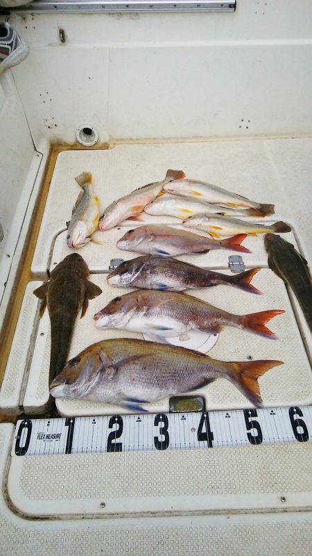 マリンガイド福丸 釣果