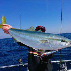 まるいち丸 ZERO-1 釣果