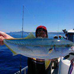 まるいち丸 ZERO-1 釣果