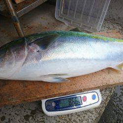 まるいち丸 ZERO-1 釣果