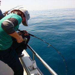 まるいち丸 ZERO-1 釣果