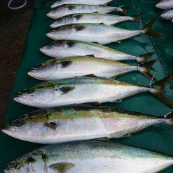 まるいち丸 ZERO-1 釣果