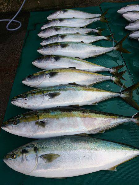 まるいち丸 ZERO-1 釣果