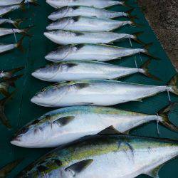 まるいち丸 ZERO-1 釣果