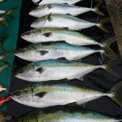 まるいち丸 ZERO-1 釣果