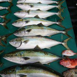 まるいち丸 ZERO-1 釣果