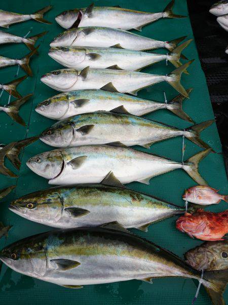 まるいち丸 ZERO-1 釣果