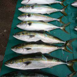 まるいち丸 ZERO-1 釣果