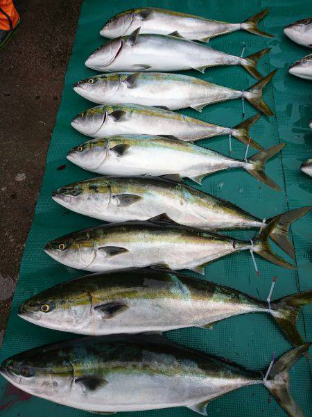 まるいち丸 ZERO-1 釣果