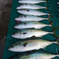 まるいち丸 ZERO-1 釣果