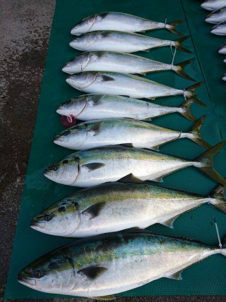 まるいち丸 ZERO-1 釣果