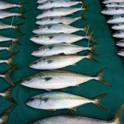 まるいち丸 ZERO-1 釣果