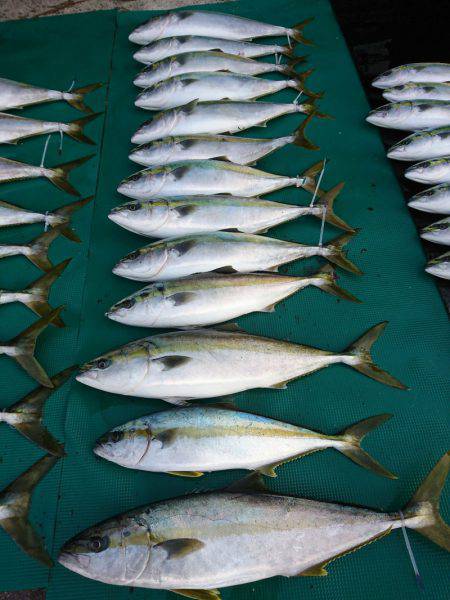 まるいち丸 ZERO-1 釣果