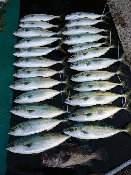 まるいち丸 ZERO-1 釣果