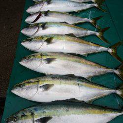 まるいち丸 ZERO-1 釣果