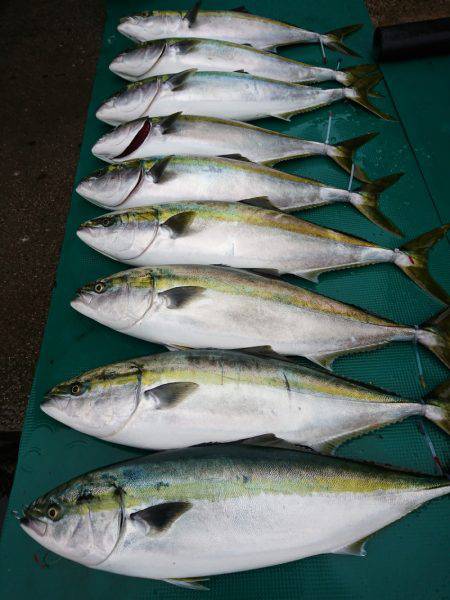 まるいち丸 ZERO-1 釣果