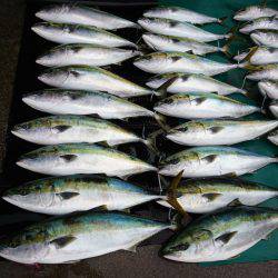 まるいち丸 ZERO-1 釣果