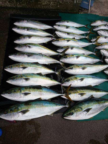 まるいち丸 ZERO-1 釣果