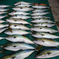 まるいち丸 ZERO-1 釣果