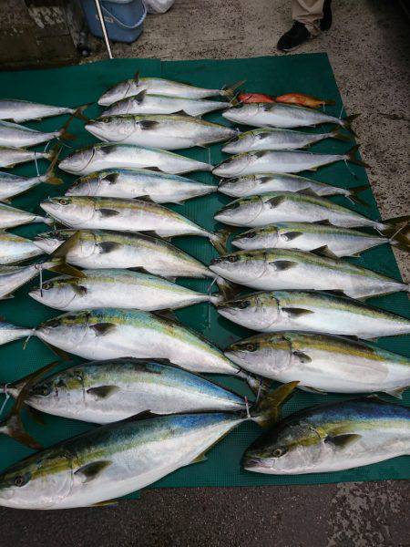 まるいち丸 ZERO-1 釣果