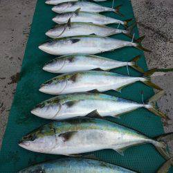 まるいち丸 ZERO-1 釣果