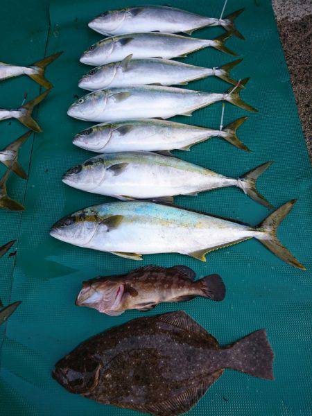 まるいち丸 ZERO-1 釣果