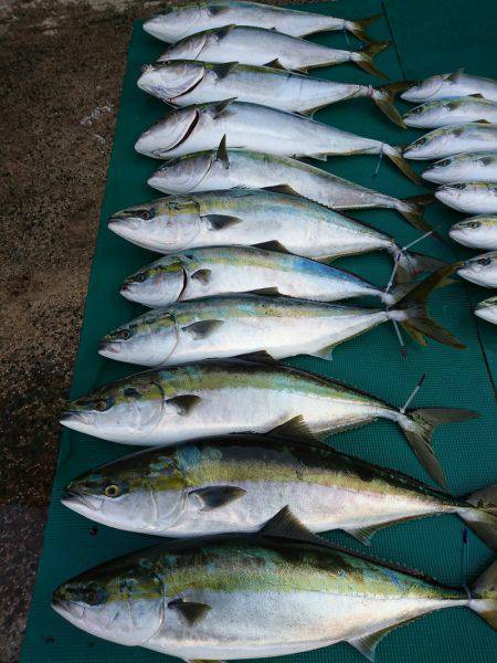 まるいち丸 ZERO-1 釣果