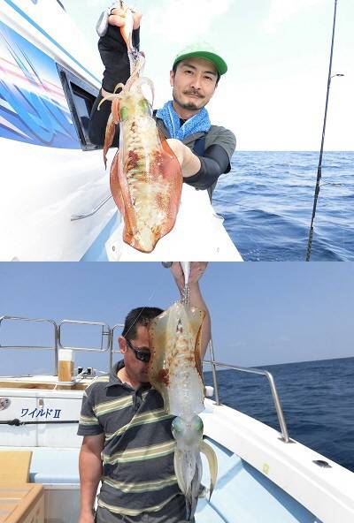 WILDⅡ 釣果