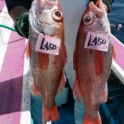 ぽん助丸 釣果