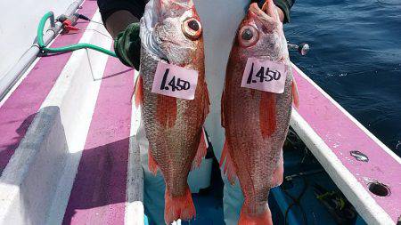 ぽん助丸 釣果