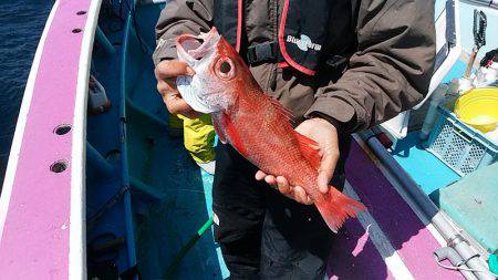 ぽん助丸 釣果