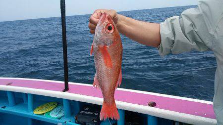 ぽん助丸 釣果