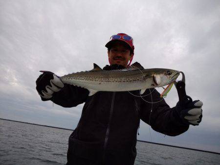 ひな丸 釣果