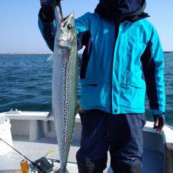 ひな丸 釣果