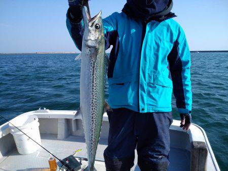 ひな丸 釣果