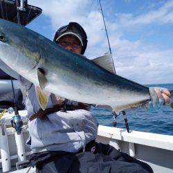 ひな丸 釣果