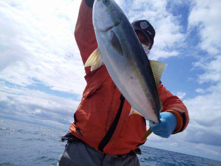 ひな丸 釣果