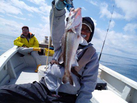 ひな丸 釣果