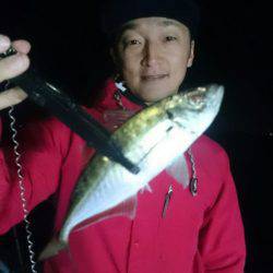 シースナイパー海龍 釣果