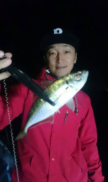 シースナイパー海龍 釣果