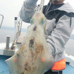 シースナイパー海龍 釣果