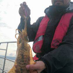 シースナイパー海龍 釣果