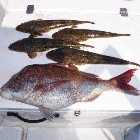 ＪＤＩ　Ｒａｃｉｎｇ　シールズマリンレジャ…