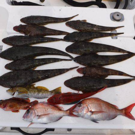 ＪＤＩ　Ｒａｃｉｎｇ　シールズマリンレジャ…