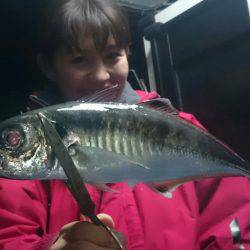 シースナイパー海龍 釣果