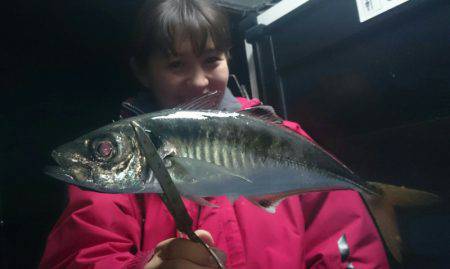 シースナイパー海龍 釣果