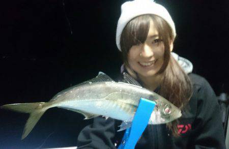 シースナイパー海龍 釣果