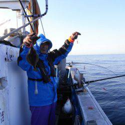 芳陽丸 釣果